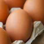 Os diferentes tipos de proteínas do ovo.