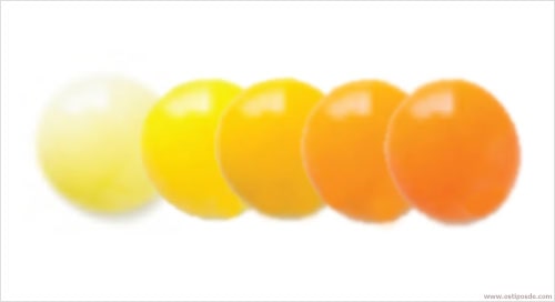 Os tipos de cores da gema do ovo.